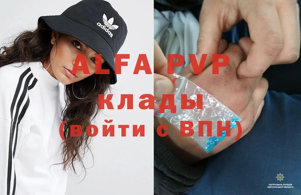 apvp Алексин